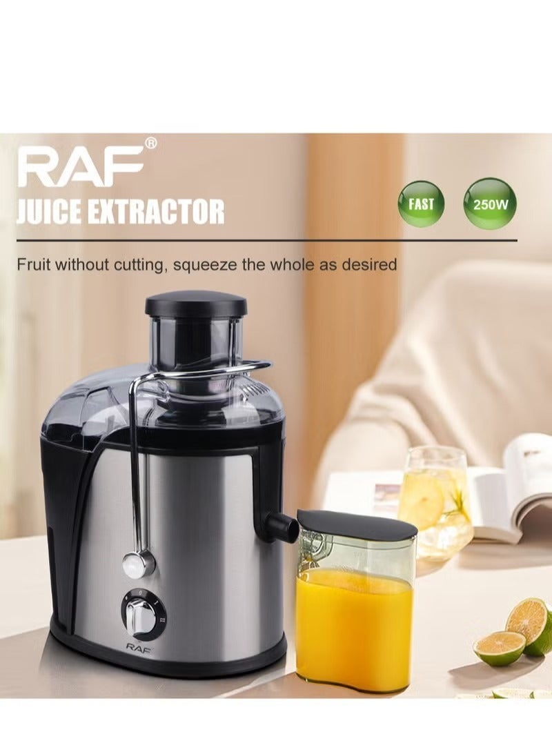 RAF Powerful Stainless Steel Juicer  250W  Low Noise  350ml Jug  18000 RPM for Fresh Fruit & Vegetable Juice - Image 4